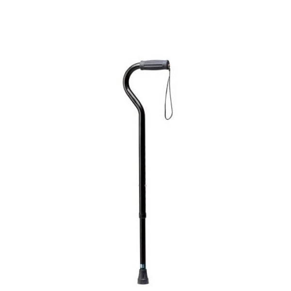 Bariatric Walking Cane