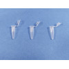 PCR STRIPS AND SINGLE TUBES PCR STRIPS AND SINGLE TUBES